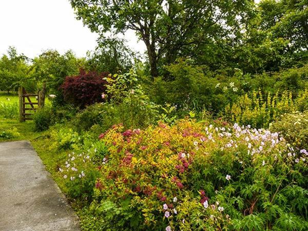 Hawthorn Farm Cottage Curry Eksteriør bilde