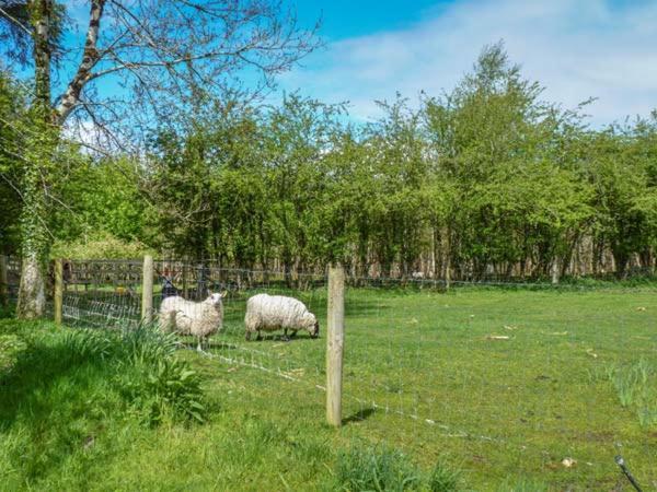 Hawthorn Farm Cottage Curry Eksteriør bilde